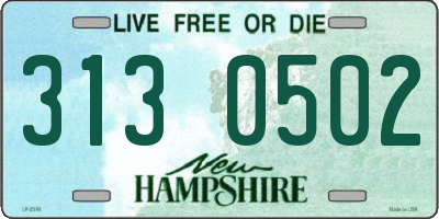 NH license plate 3130502