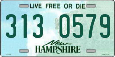 NH license plate 3130579