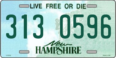 NH license plate 3130596