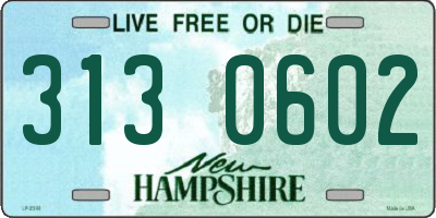 NH license plate 3130602