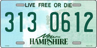 NH license plate 3130612