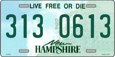 NH license plate 3130613