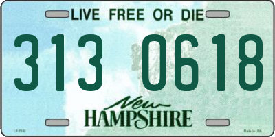 NH license plate 3130618