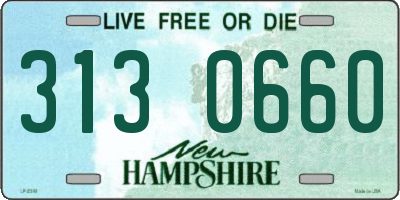 NH license plate 3130660