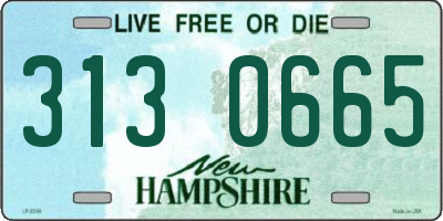 NH license plate 3130665
