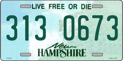 NH license plate 3130673