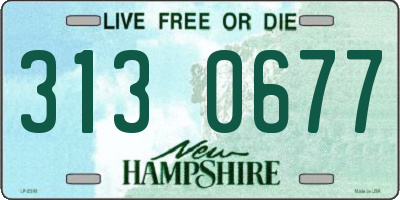 NH license plate 3130677