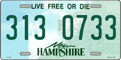 NH license plate 3130733
