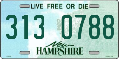 NH license plate 3130788