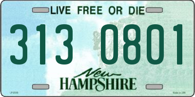 NH license plate 3130801