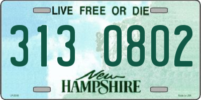 NH license plate 3130802
