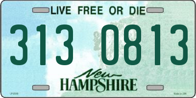 NH license plate 3130813