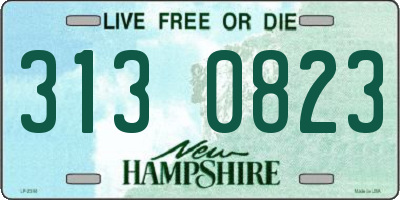 NH license plate 3130823