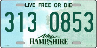 NH license plate 3130853