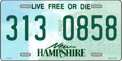 NH license plate 3130858