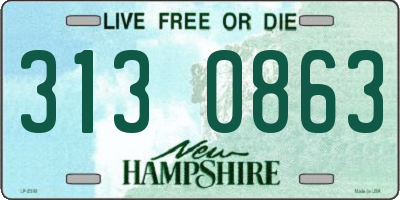NH license plate 3130863