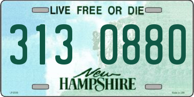 NH license plate 3130880