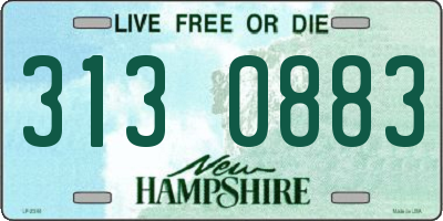 NH license plate 3130883