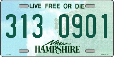 NH license plate 3130901