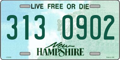 NH license plate 3130902