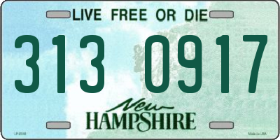 NH license plate 3130917