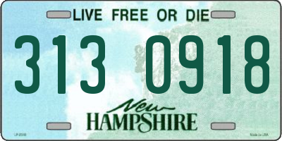 NH license plate 3130918
