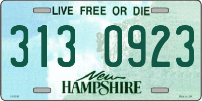 NH license plate 3130923