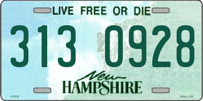 NH license plate 3130928