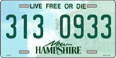 NH license plate 3130933