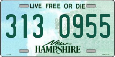 NH license plate 3130955