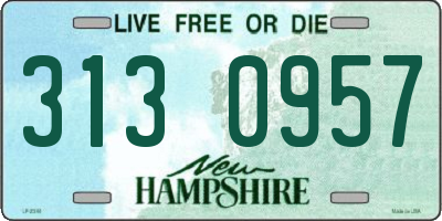NH license plate 3130957