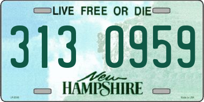 NH license plate 3130959