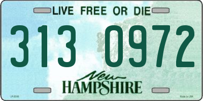 NH license plate 3130972