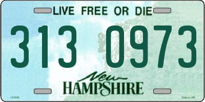 NH license plate 3130973
