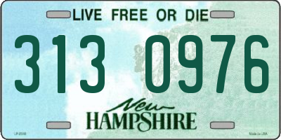 NH license plate 3130976