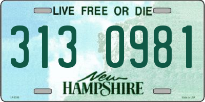NH license plate 3130981