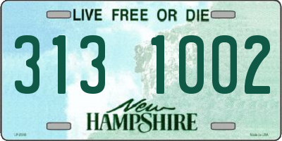 NH license plate 3131002