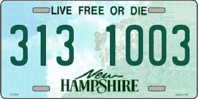 NH license plate 3131003