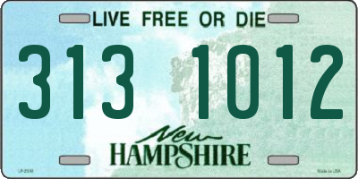 NH license plate 3131012