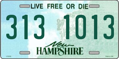 NH license plate 3131013