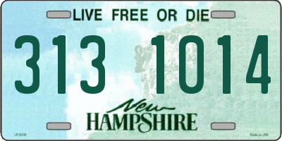 NH license plate 3131014