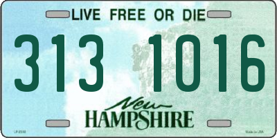 NH license plate 3131016