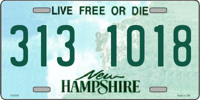 NH license plate 3131018