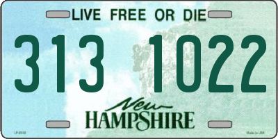 NH license plate 3131022