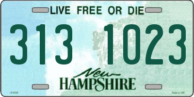 NH license plate 3131023