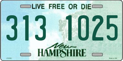 NH license plate 3131025