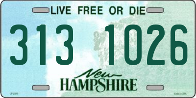 NH license plate 3131026