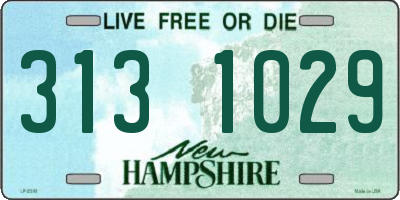 NH license plate 3131029