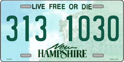 NH license plate 3131030