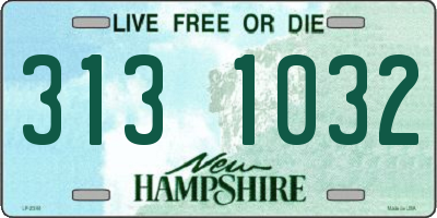 NH license plate 3131032